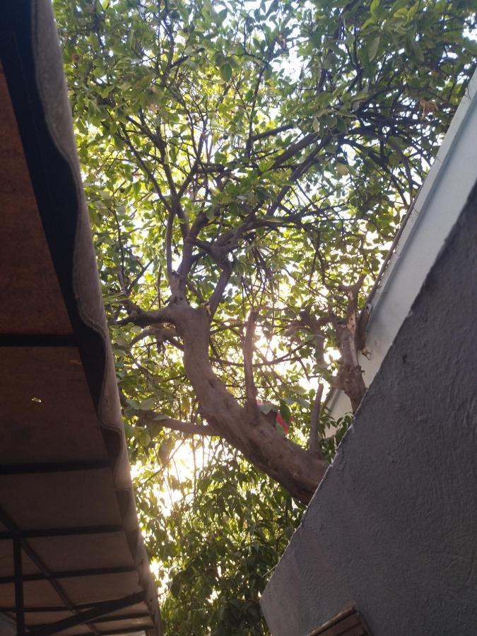 Appartement A La Medina De فاس المظهر الخارجي الصورة